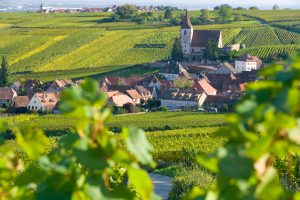 hunawihr village and vineyards alsace france 2026 03 25 01 46 05 utc